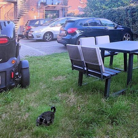 Logeerkamer Xxl 25 M2 Zemst Extérieur photo